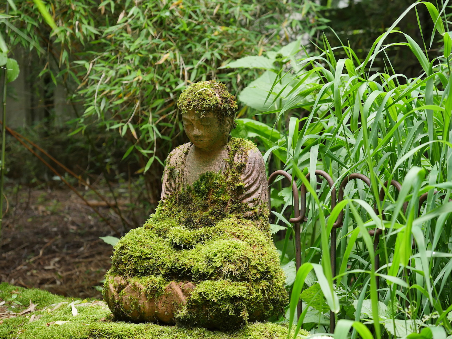 zen zazen meditation johanneshof hotzenhaus dharma sangha baker roshi